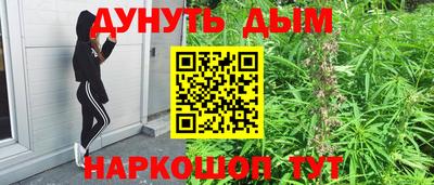 гидра Кинель