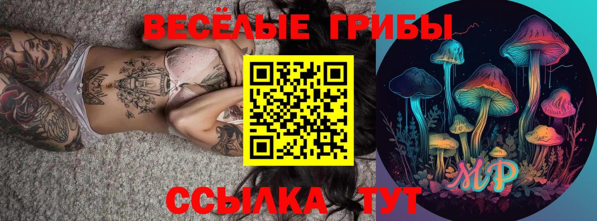 Псилоцибиновые грибы Psilocybe Коммунар
